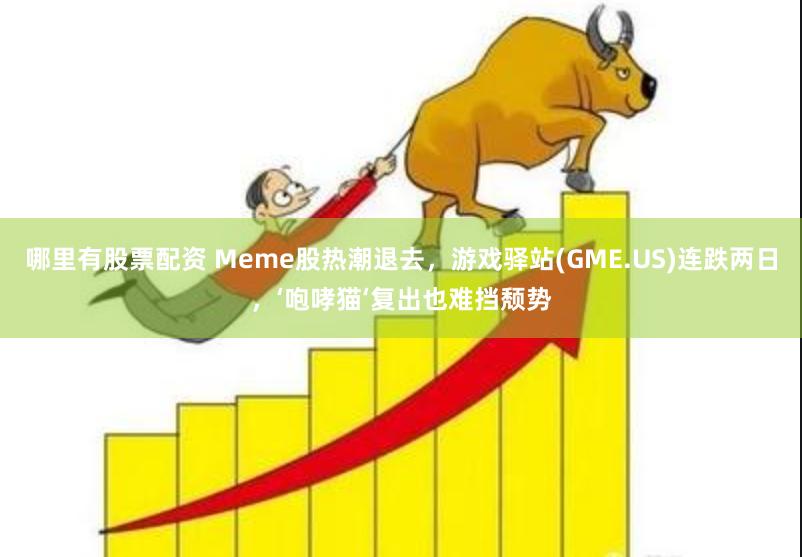 哪里有股票配资 Meme股热潮退去，游戏驿站(GME.US)连跌两日，‘咆哮猫‘复出也难挡颓势