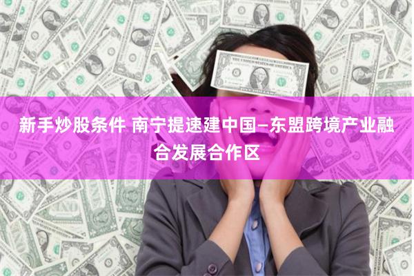 新手炒股条件 南宁提速建中国—东盟跨境产业融合发展合作区